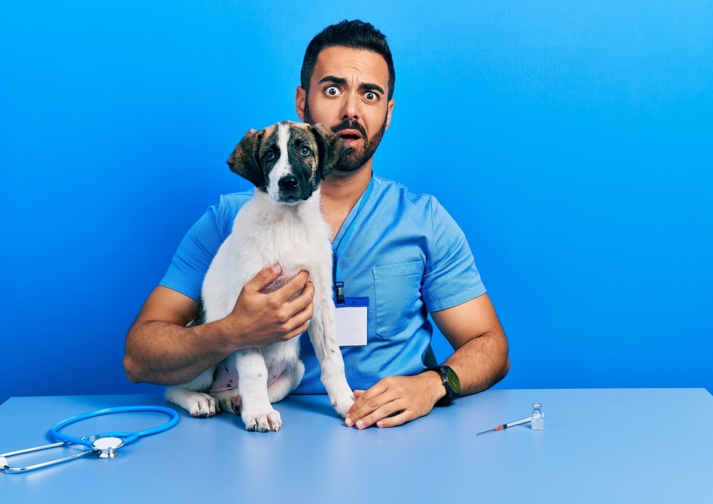 Handsome hispanic veterinary man with beard checking dog health in shock face, looking skeptical and sarcastic, surprised with open mouth