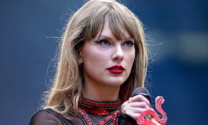 look what you made me do by taylor